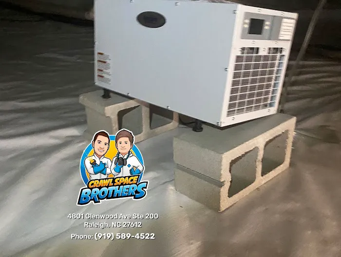 Crawl Space Brothers Picture 6