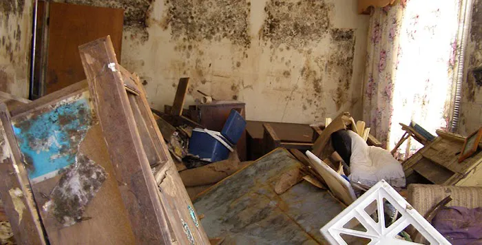 PuroClean of the Sandhills Picture 2