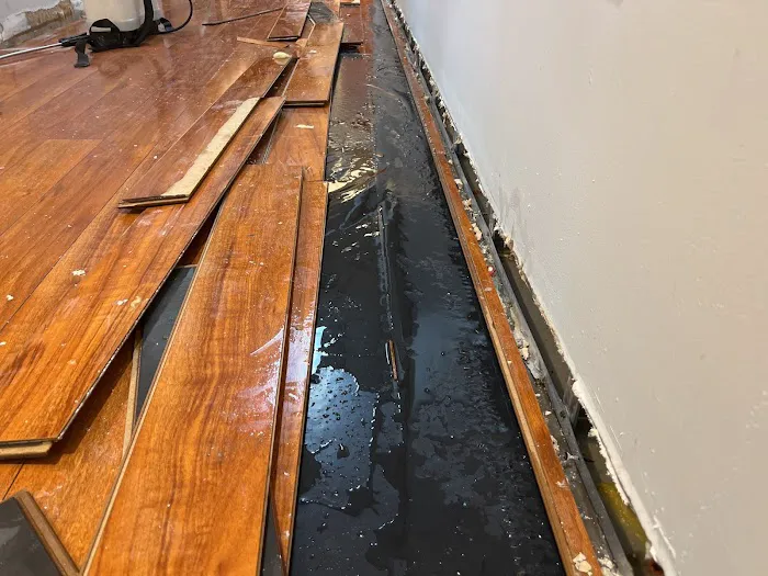 PuroClean of the Sandhills Picture 5