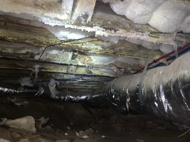 PuroClean Disaster First Response Picture 1