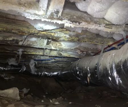 PuroClean Disaster First Response