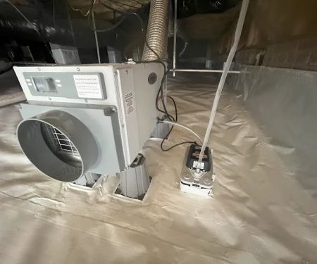 Elite Moisture Solutions