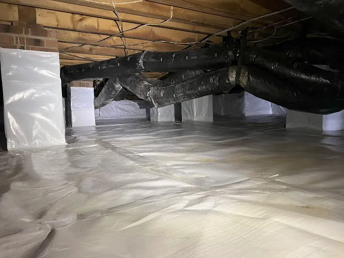 Elite Moisture Solutions Picture 2