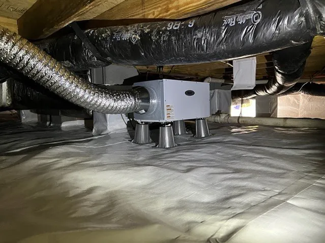 Elite Moisture Solutions Picture 4