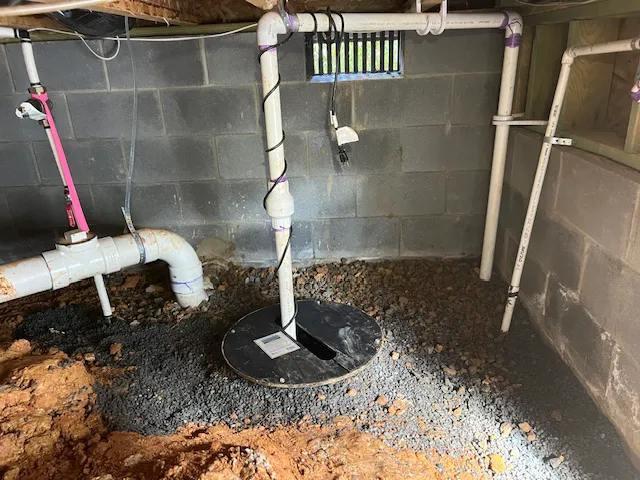 Elite Moisture Solutions Picture 5