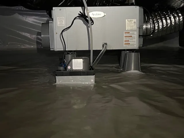 Elite Moisture Solutions Picture 6