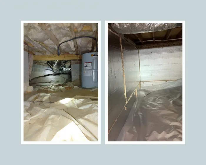 Elite Moisture Solutions Picture 10