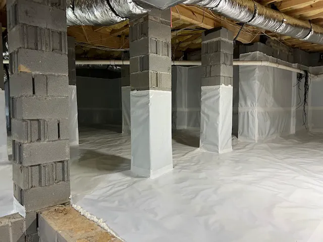 Elite Moisture Solutions Picture 9