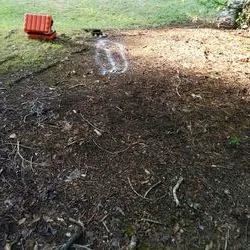 Proven Professional Construction Services LLC Picture 7