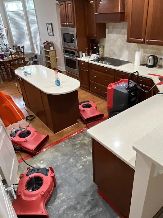 Cardinal Reconstruction Picture 8