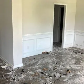 Big Blue Restoration Picture 3