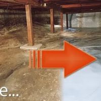 Raleigh NC Mold Testing and Remediation ico