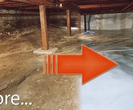 Raleigh NC Mold Testing and Remediation