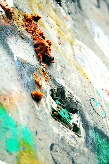 Raleigh NC Mold Testing and Remediation Picture 2