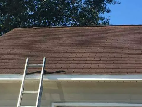 Coastal. Cleaner and Maintenance Picture 1