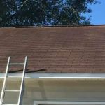 Coastal. Cleaner and Maintenance