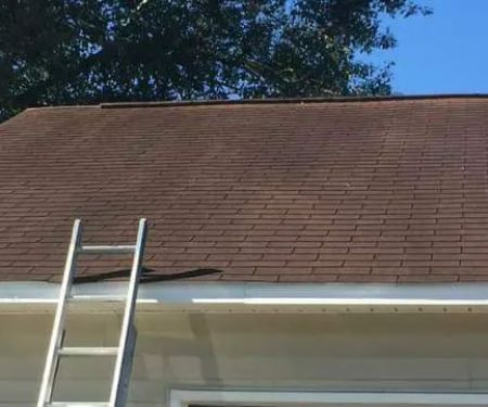 Coastal. Cleaner and Maintenance