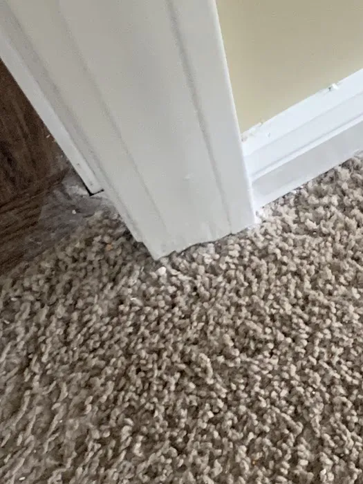 ATI Restoration Picture 6