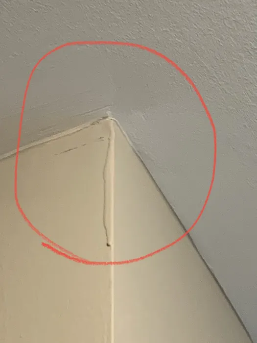 ATI Restoration Picture 8