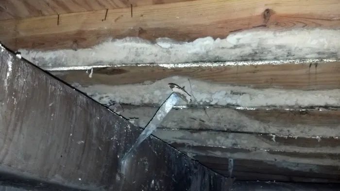 PuroClean Disaster First Response Picture 9