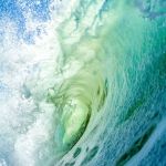 A Cape Fear Water Damage