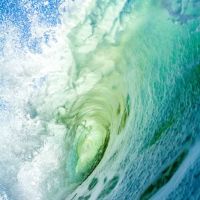 A Cape Fear Water Damage ico