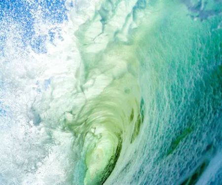 A Cape Fear Water Damage