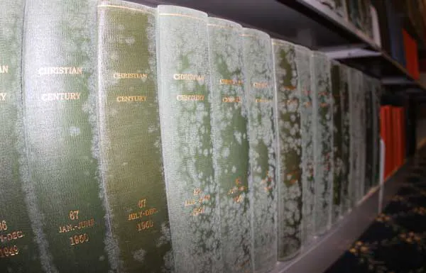 HCI Fire & Water Restoration Picture 7