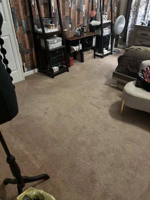 Stanley Steemer Picture 3