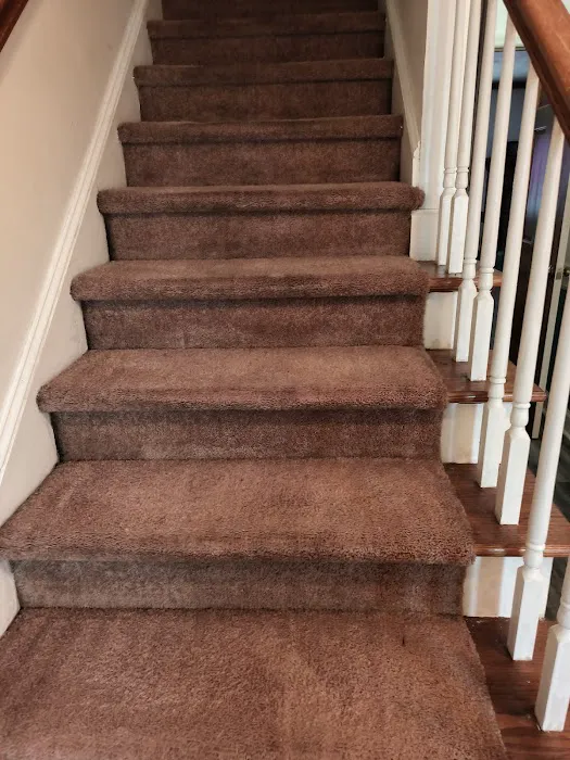 Stanley Steemer Picture 6