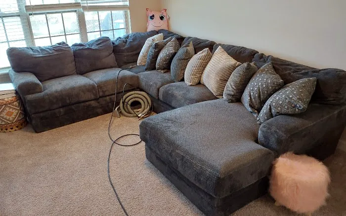 Stanley Steemer Picture 8