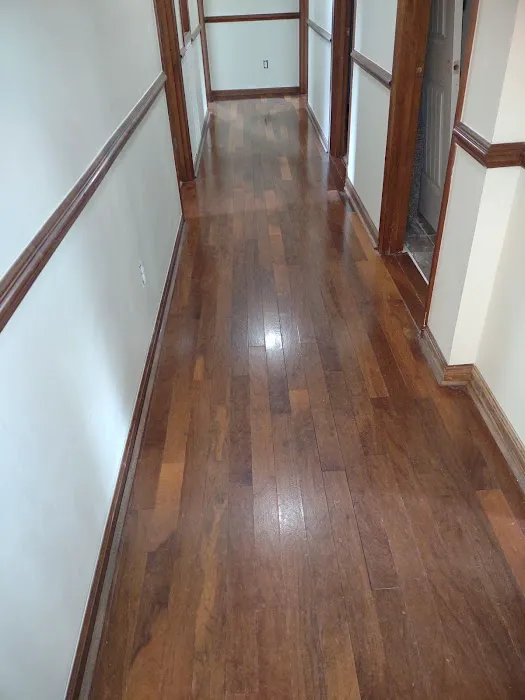 Stanley Steemer Picture 9