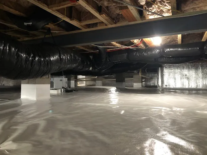 Elite Moisture Solutions Picture 3