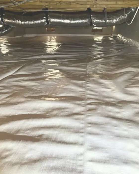 Elite Moisture Solutions Picture 1