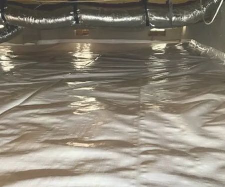 Elite Moisture Solutions