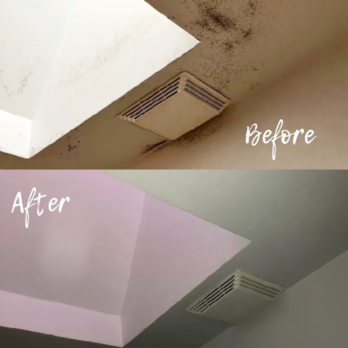 Elite Moisture Solutions Picture 7