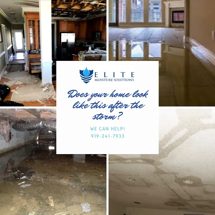 Elite Moisture Solutions Picture 8