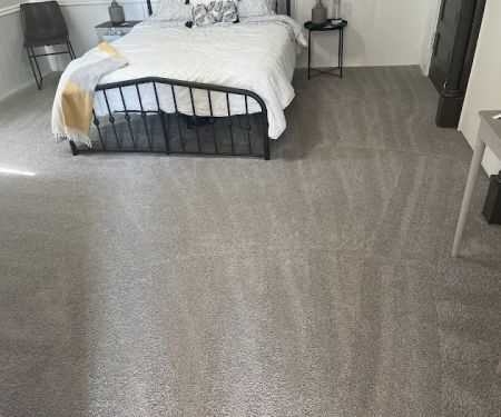 Williams Carpet Care