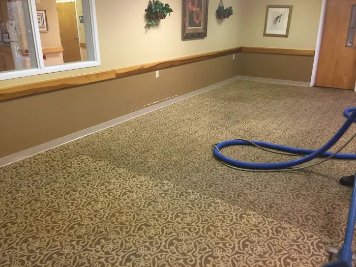 Professional Care Carpet Cleaning Picture 3