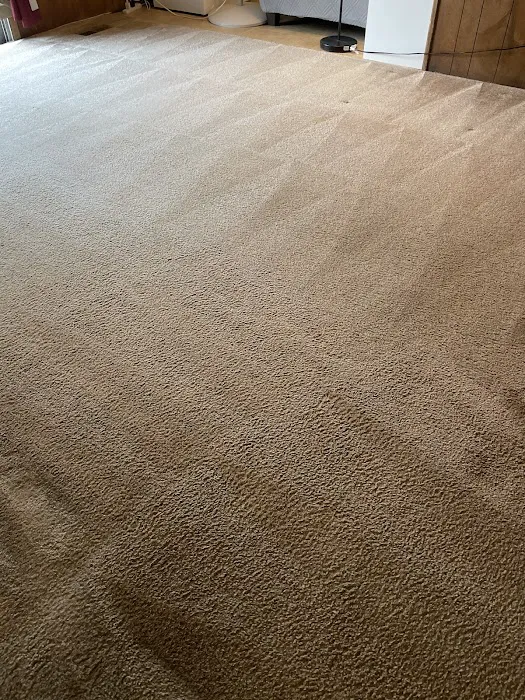 Williams Carpet Care Picture 3