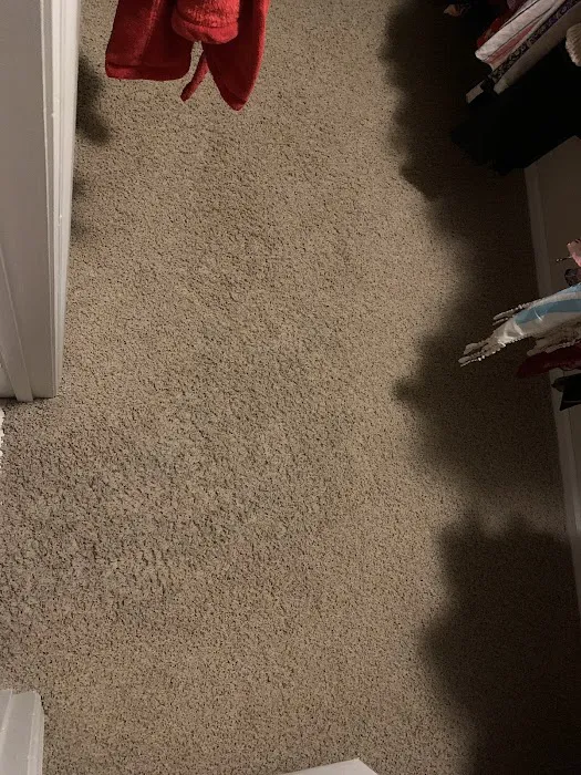 Williams Carpet Care Picture 9