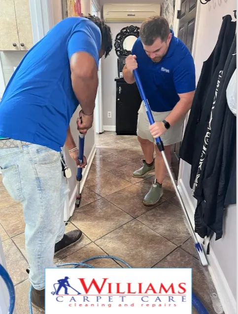Williams Carpet Care Picture 10