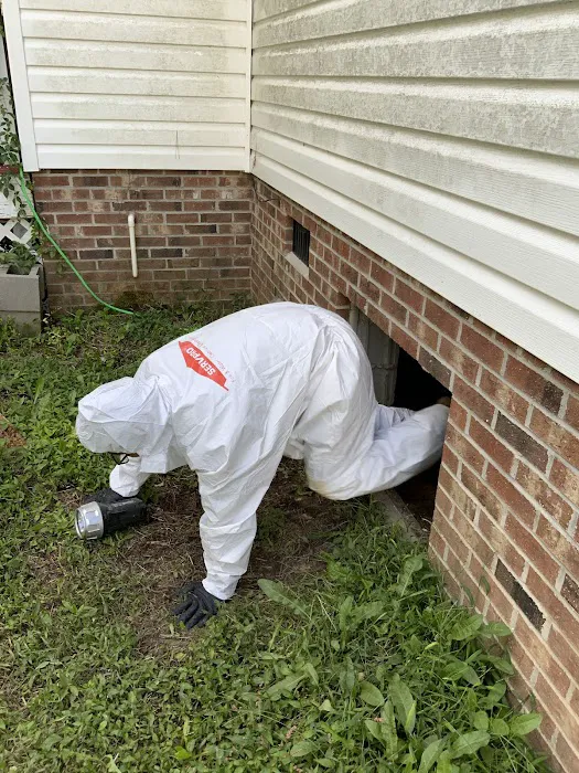 SERVPRO of Rocky Mount Picture 8