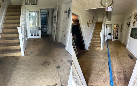 Voda Cleaning & Restoration of Greenville Rocky Mount Picture 4