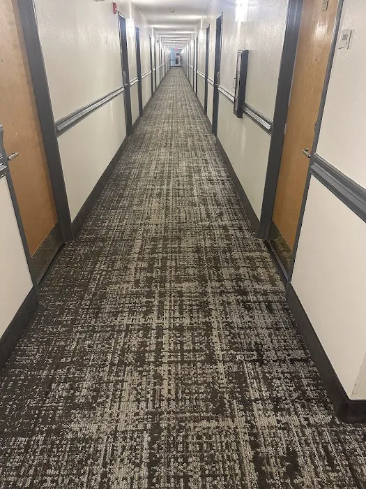 Voda Cleaning & Restoration of Greenville Rocky Mount Picture 8