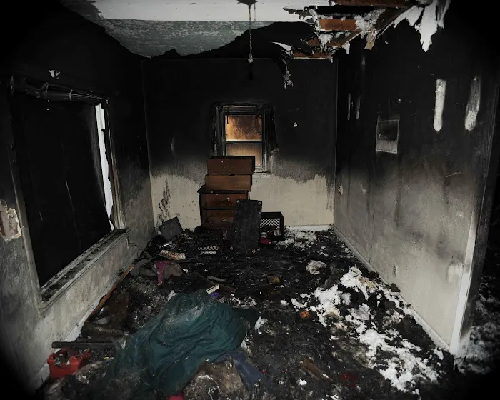 Paul Davis Restoration of the Coastal Plains Picture 6