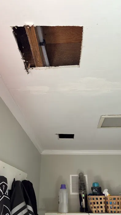 Revitalife Contents Recovery Picture 1