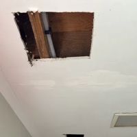 Revitalife Contents Recovery ico