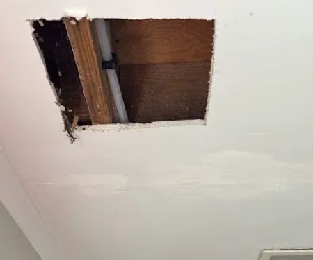 Revitalife Contents Recovery