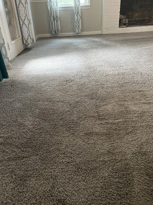 Stanley Steemer Picture 1